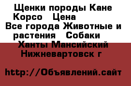 Щенки породы Кане-Корсо › Цена ­ 25 000 - Все города Животные и растения » Собаки   . Ханты-Мансийский,Нижневартовск г.